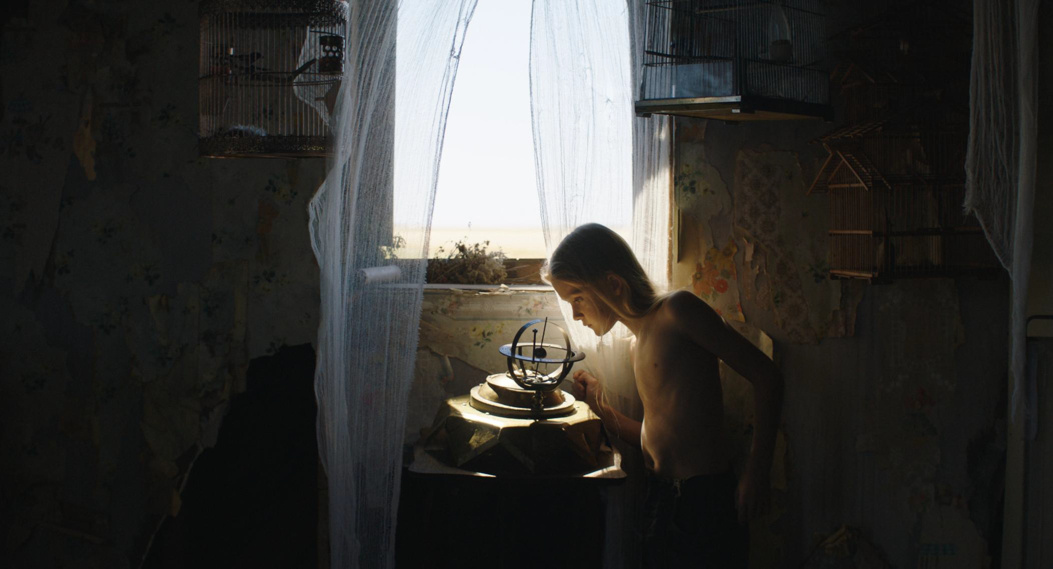 Nova “Lumo” 2025